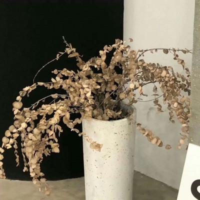 Furry手绘上色教程福瑞群